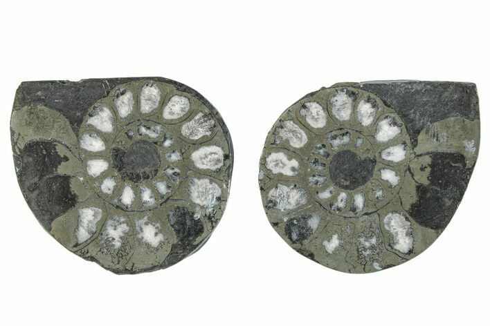 Pyritized Cut Ammonite Fossil Pair - Morocco #276611